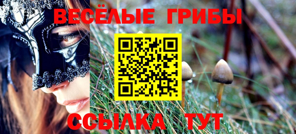 Псилоцибиновые грибы Psilocybe Электросталь