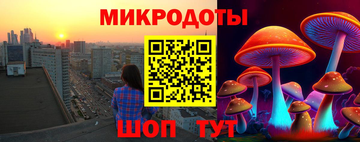 Псилоцибиновые грибы прущие грибы  Вход с VPN  Электросталь 